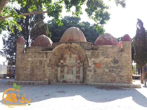 0abonaboot923 (1).jpg